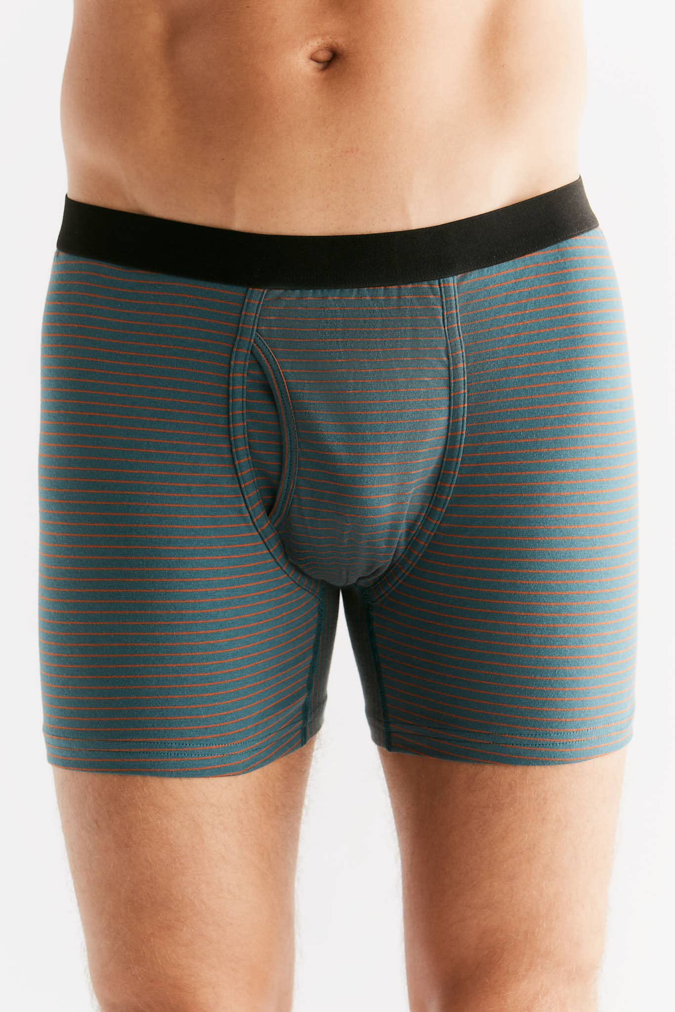 Organic Cotton Boxer Shorts: Mens - REGN