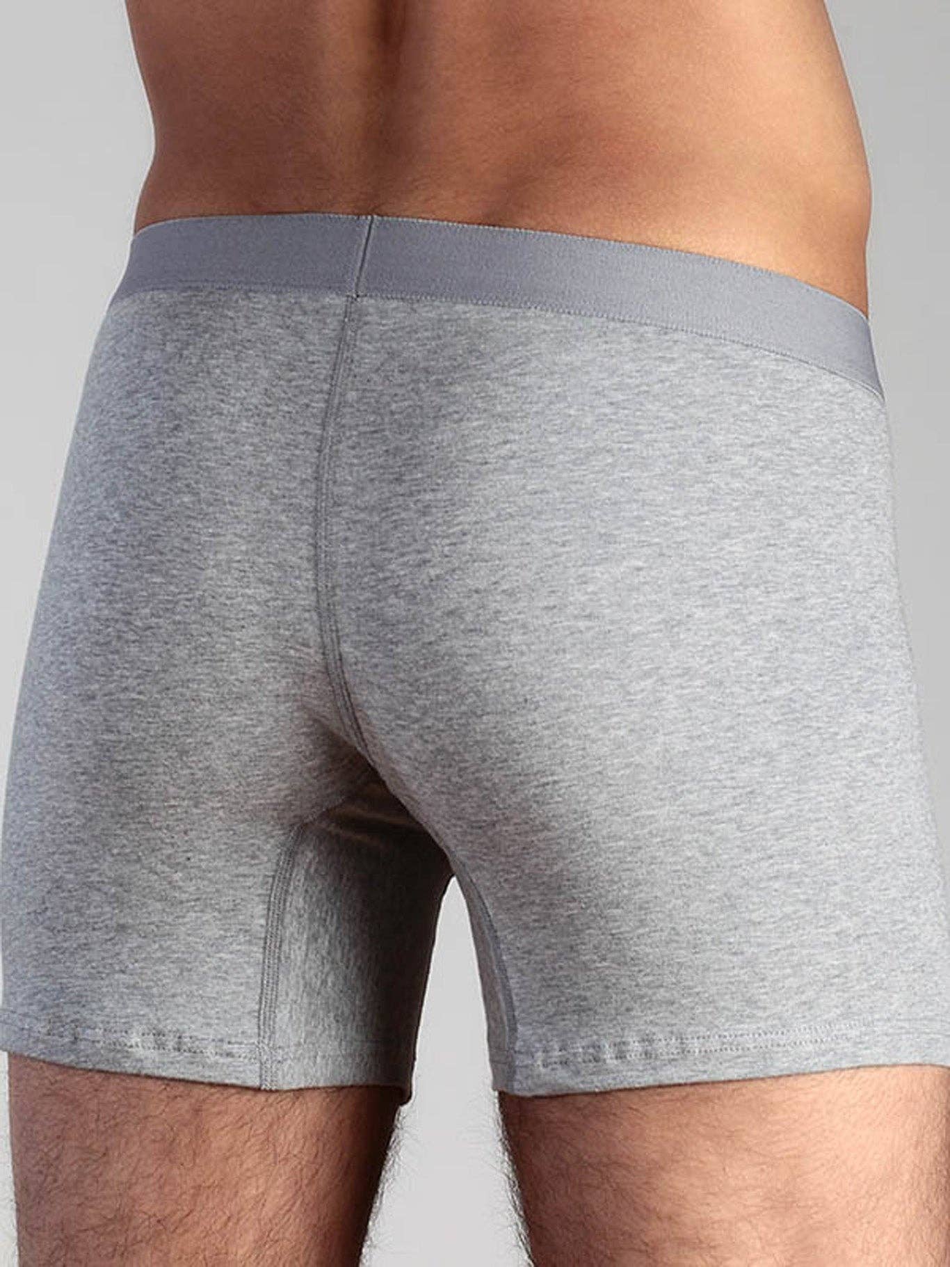 Organic Cotton Boxer Shorts: Mens - REGN
