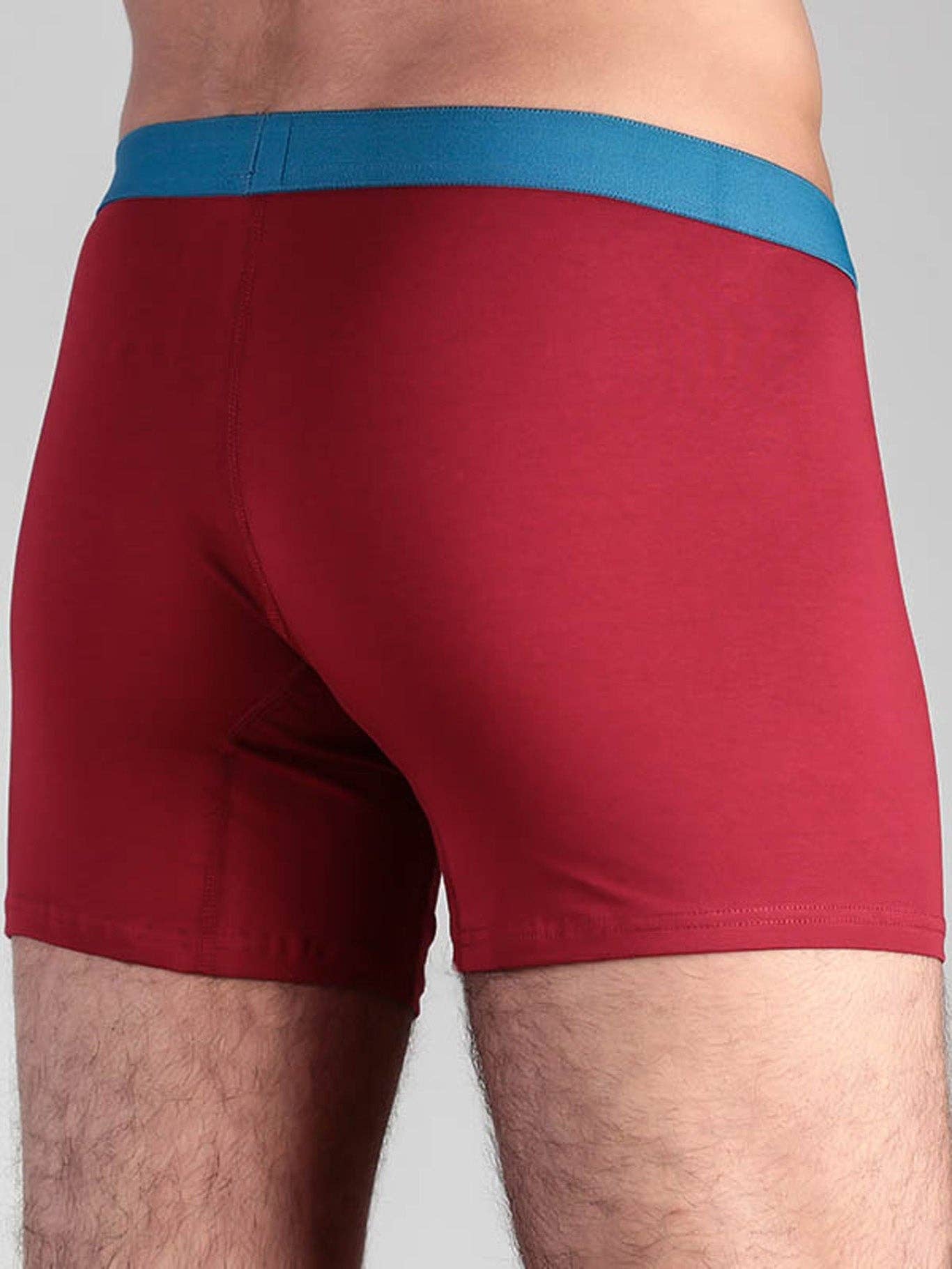 Organic Cotton Boxer Shorts: Mens - REGN
