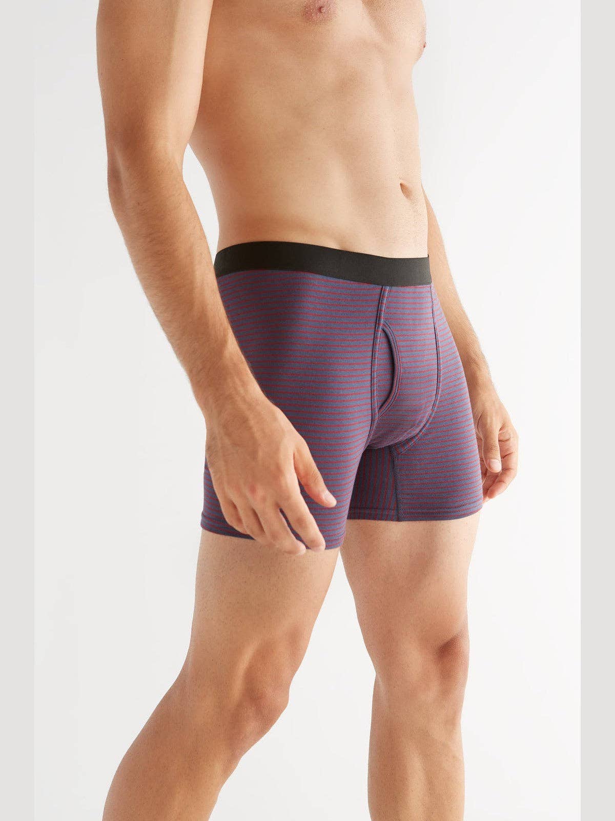 Organic Cotton Boxer Shorts: Mens - REGN