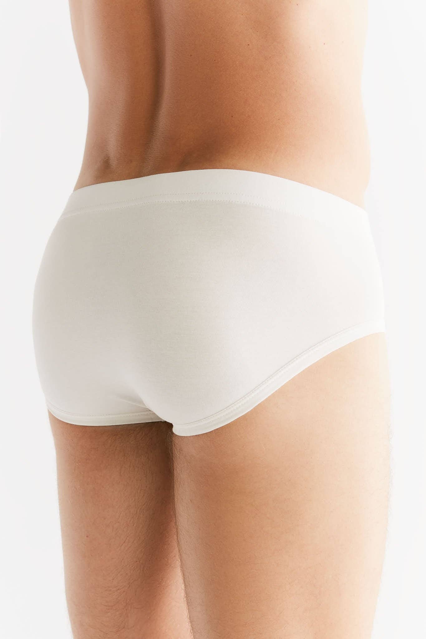 Organic Cotton Briefs: Mens - REGN