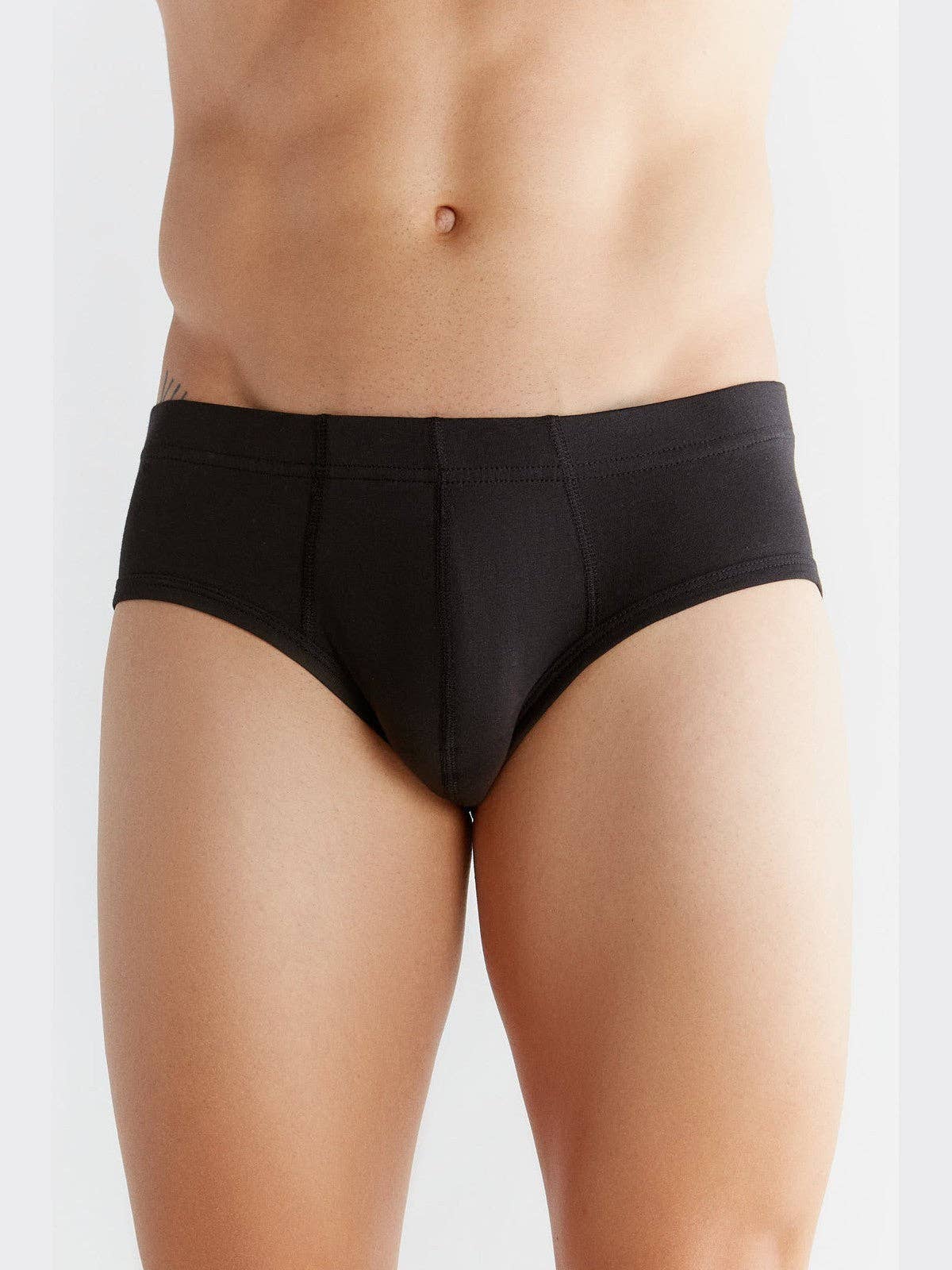 Organic Cotton Briefs: Mens - REGN