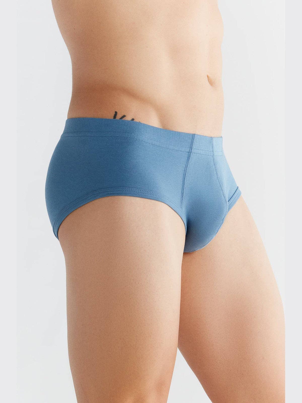 Organic Cotton Briefs: Mens - REGN