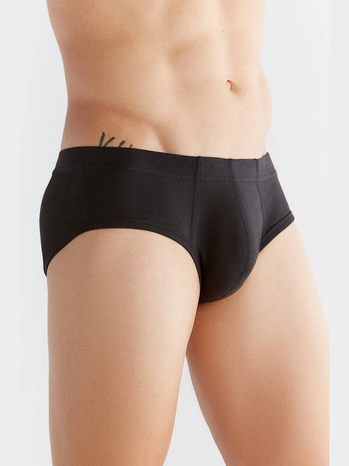Organic Cotton Briefs: Mens - REGN
