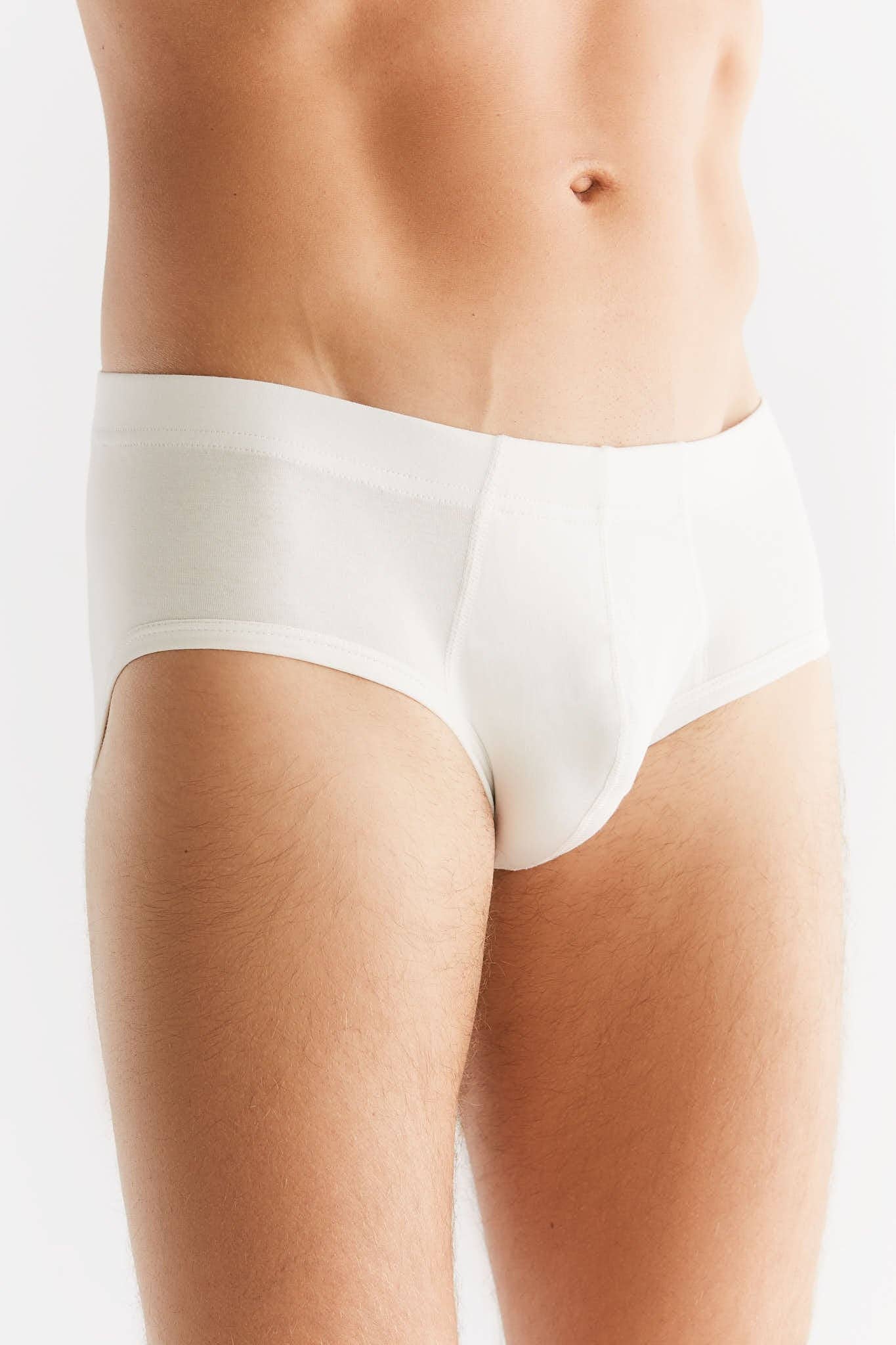 Organic Cotton Briefs: Mens - REGN