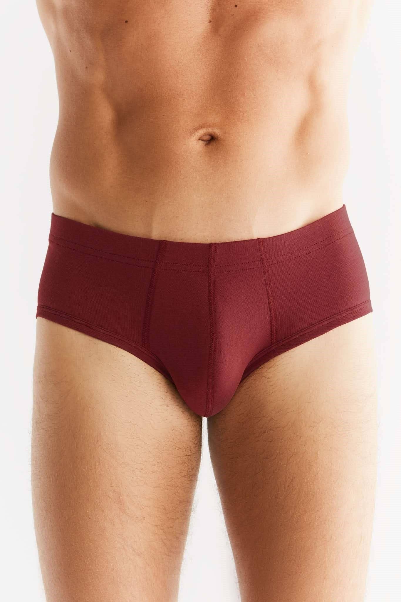 Organic Cotton Briefs: Mens - REGN