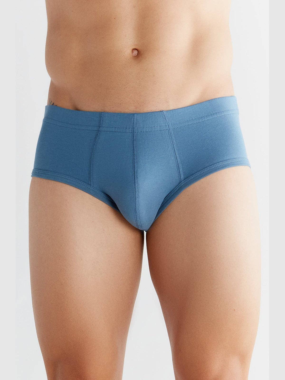 Organic Cotton Briefs: Mens - REGN