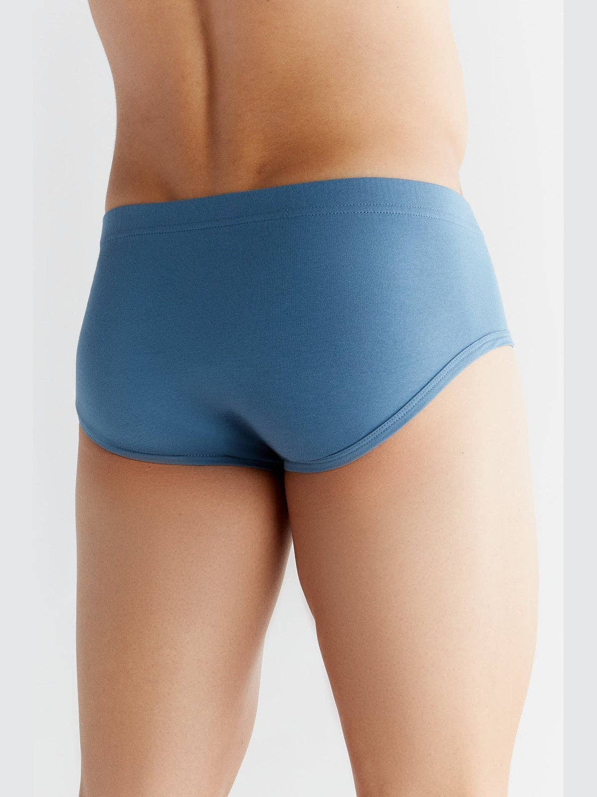 Organic Cotton Briefs: Mens - REGN