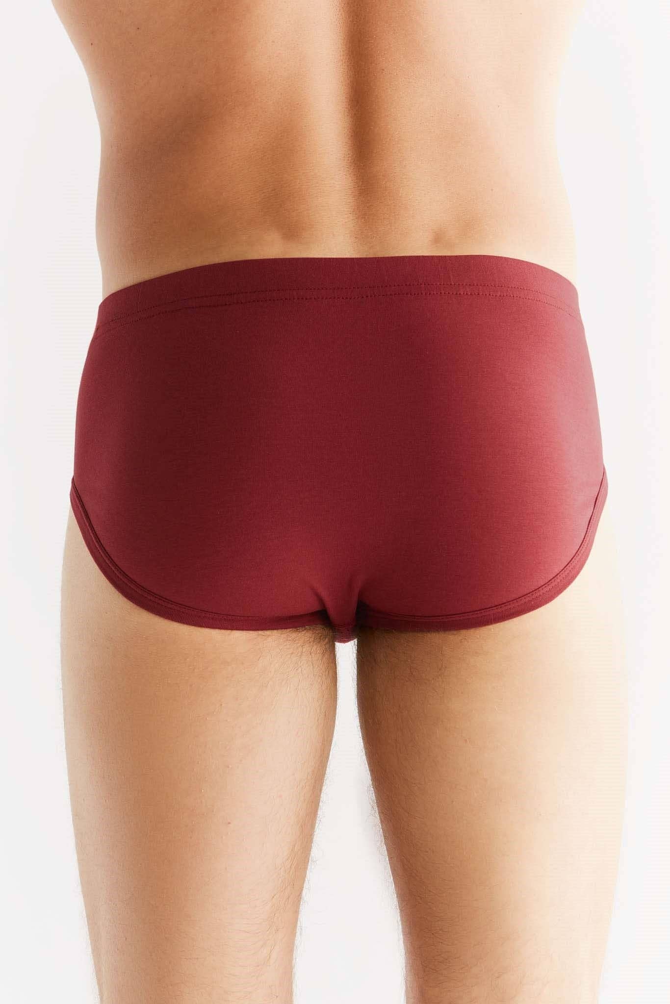 Organic Cotton Briefs: Mens - REGN