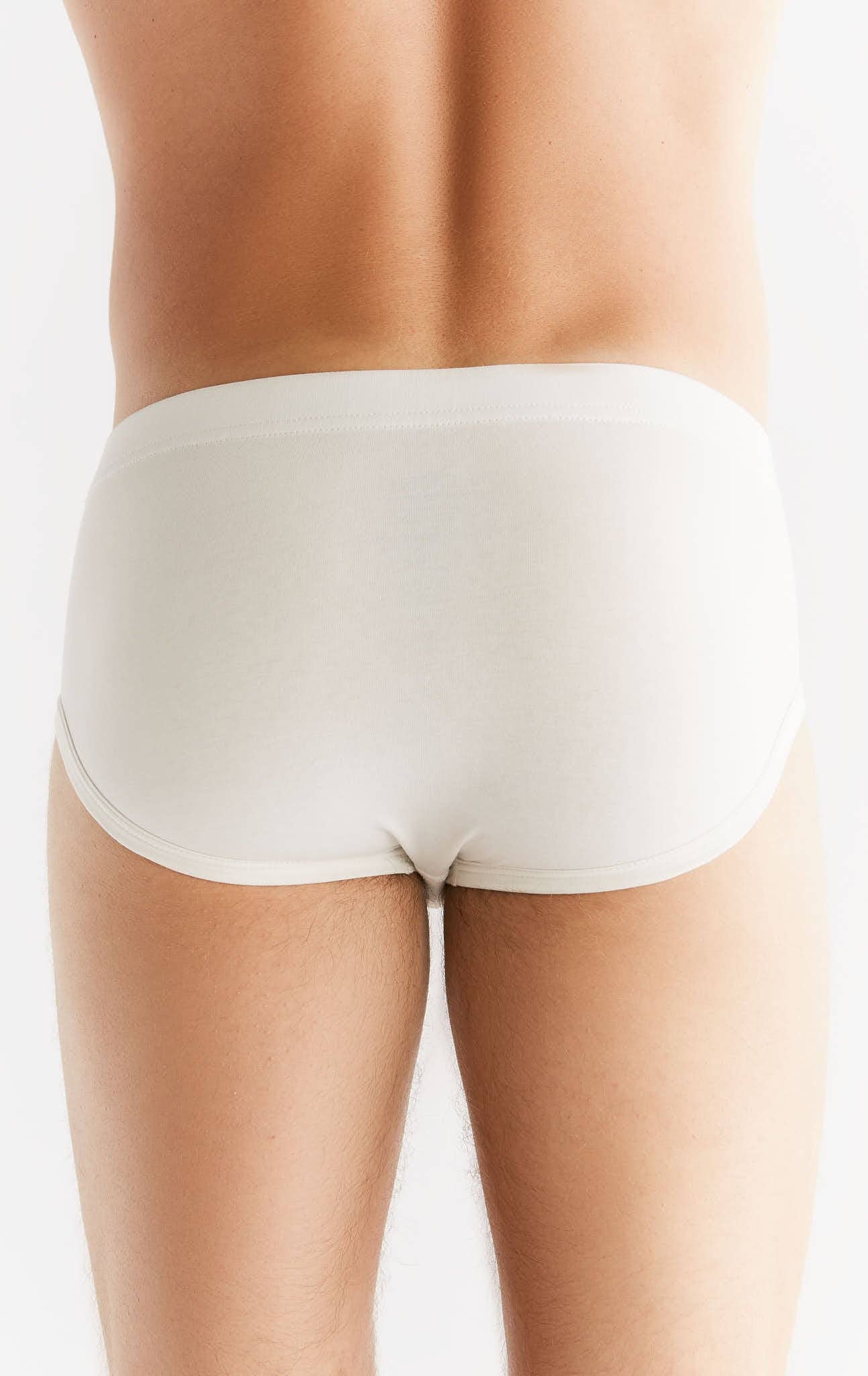 Organic Cotton Briefs: Mens - REGN