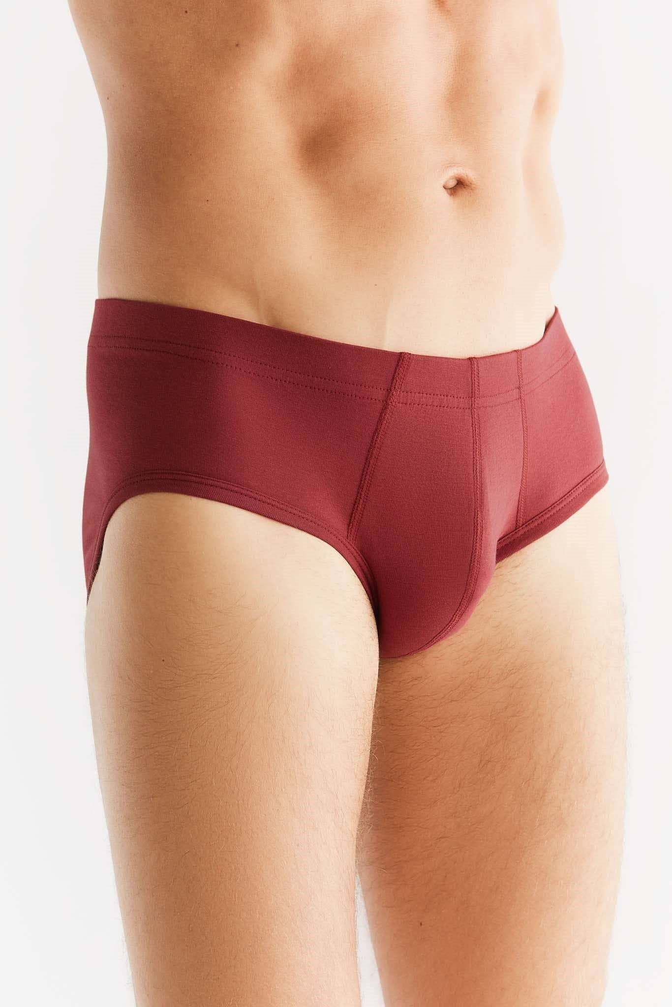 Organic Cotton Briefs: Mens - REGN