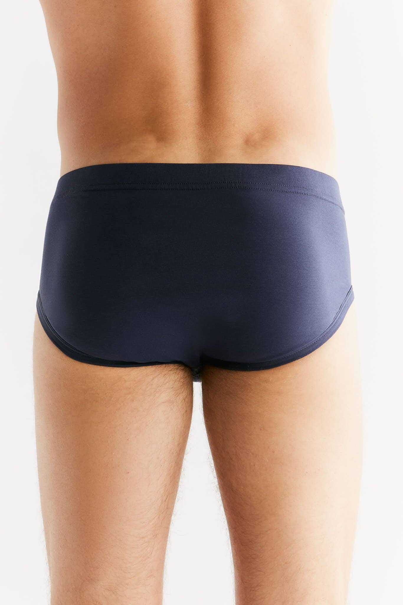 Organic Cotton Briefs: Mens - REGN