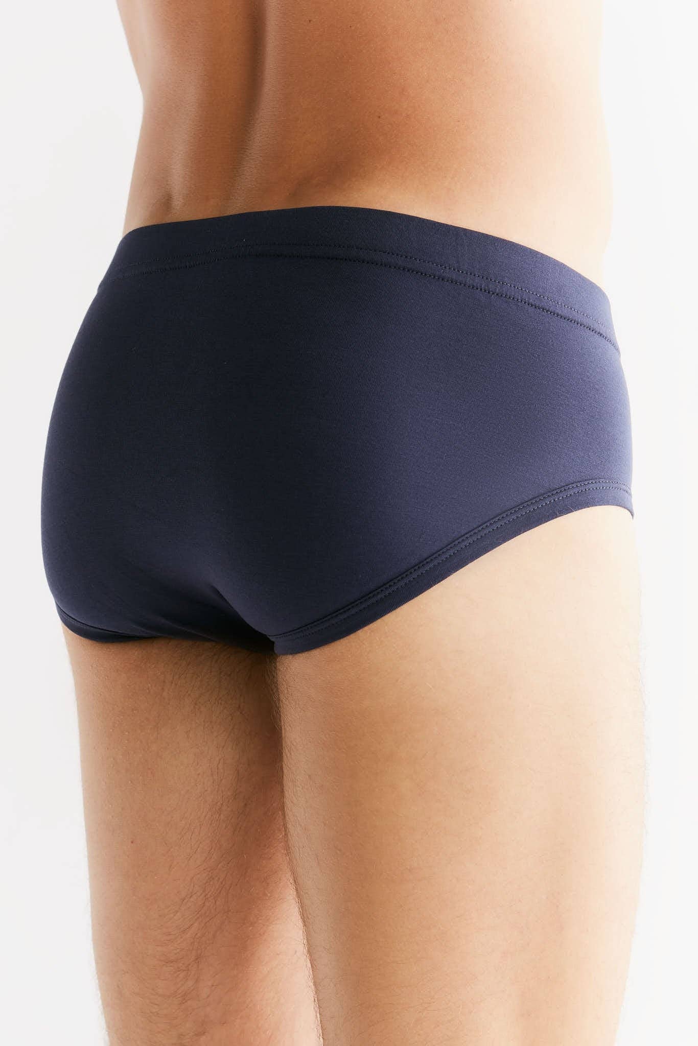 Organic Cotton Briefs: Mens - REGN