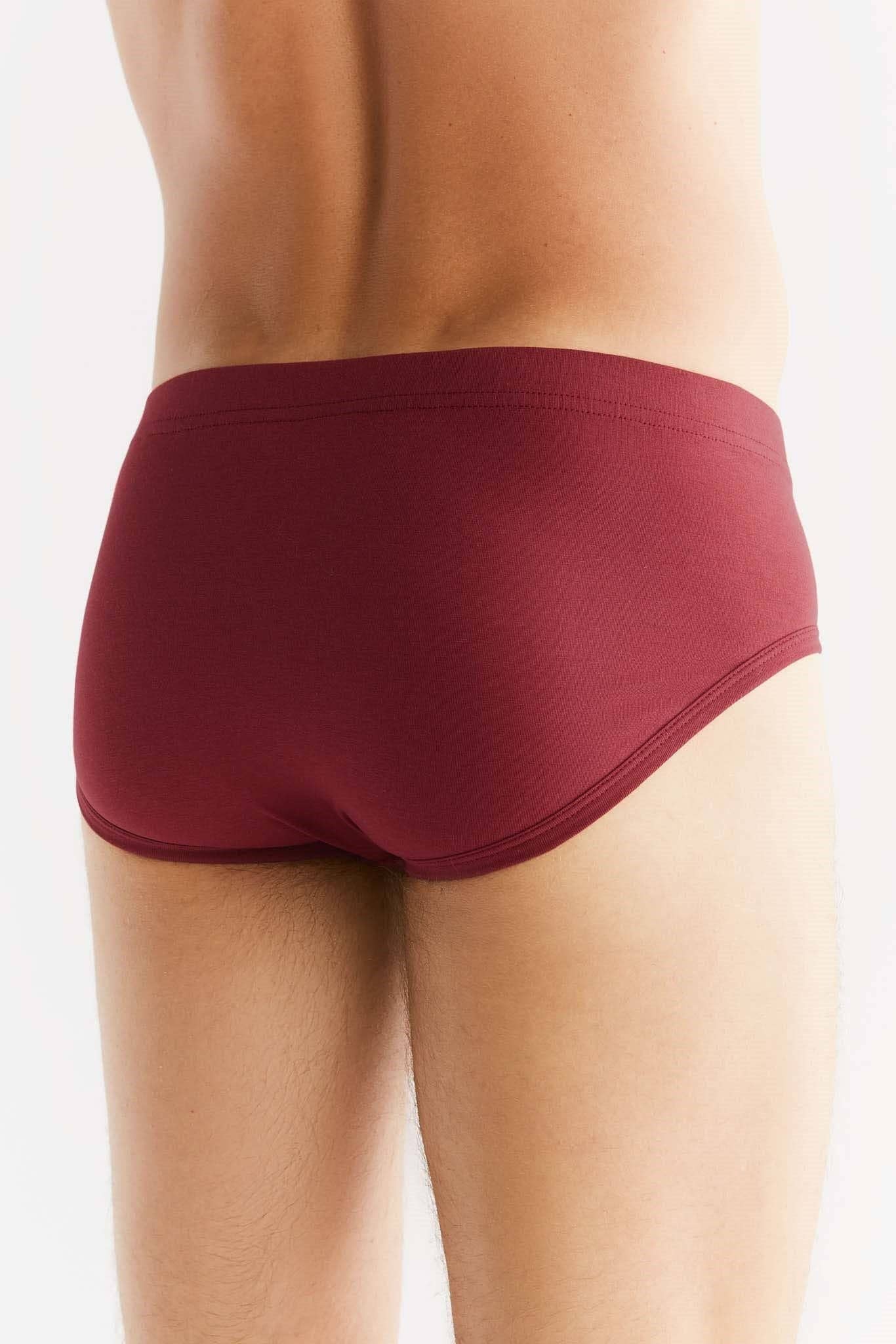 Organic Cotton Briefs: Mens - REGN
