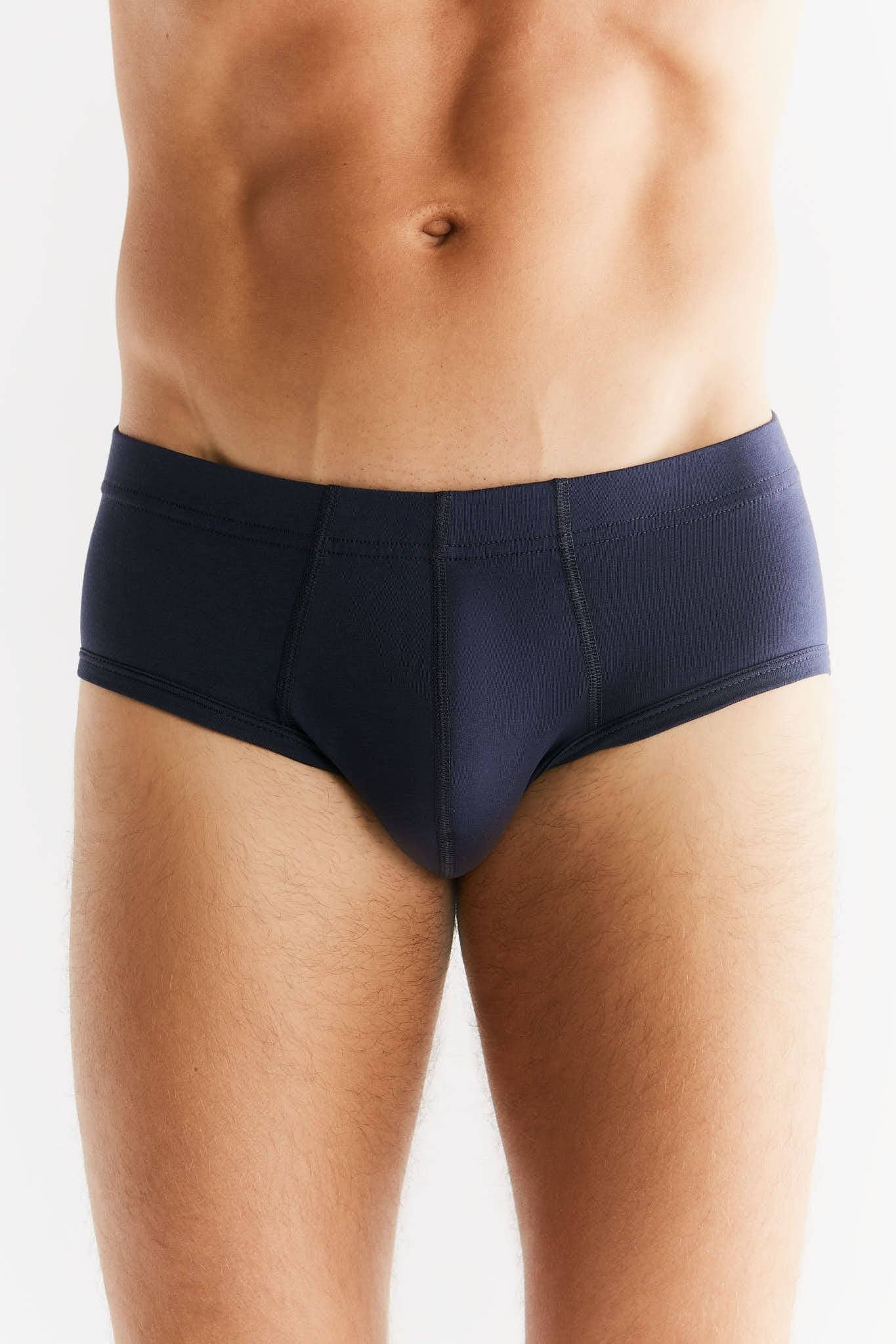 Organic Cotton Briefs: Mens - REGN