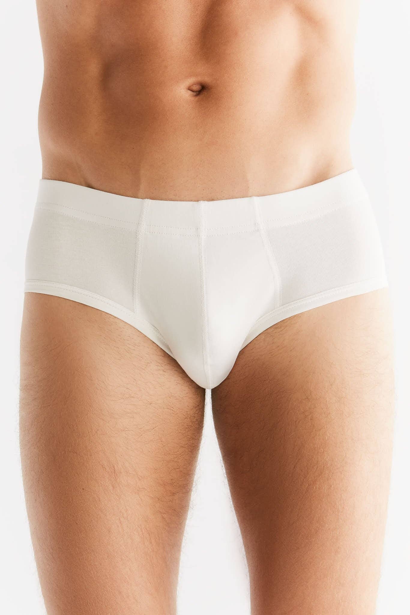 Organic Cotton Briefs: Mens - REGN