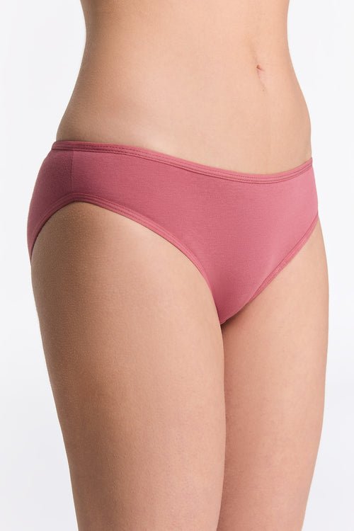 Organic Cotton Classic Briefs: Womens - REGN