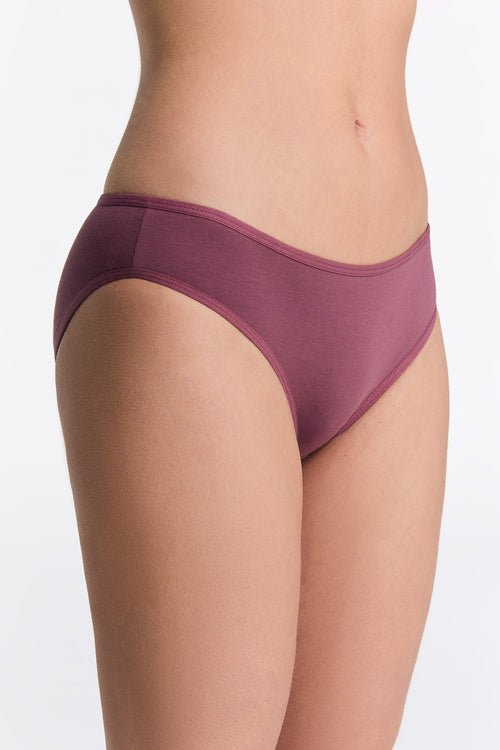Organic Cotton Classic Briefs: Womens - REGN