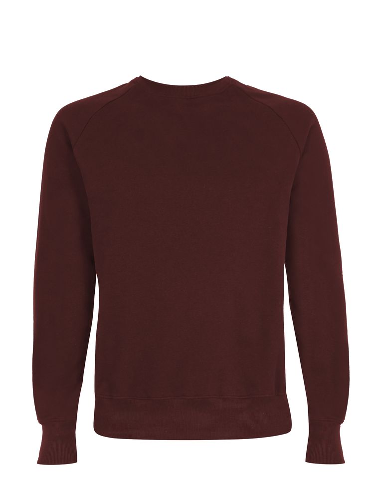 Organic Cotton Raglan Sweatshirt: Earth Positive - REGN