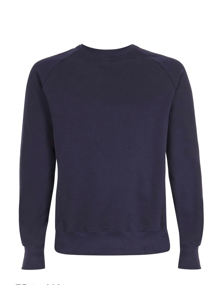 Organic Cotton Raglan Sweatshirt: Earth Positive - REGN