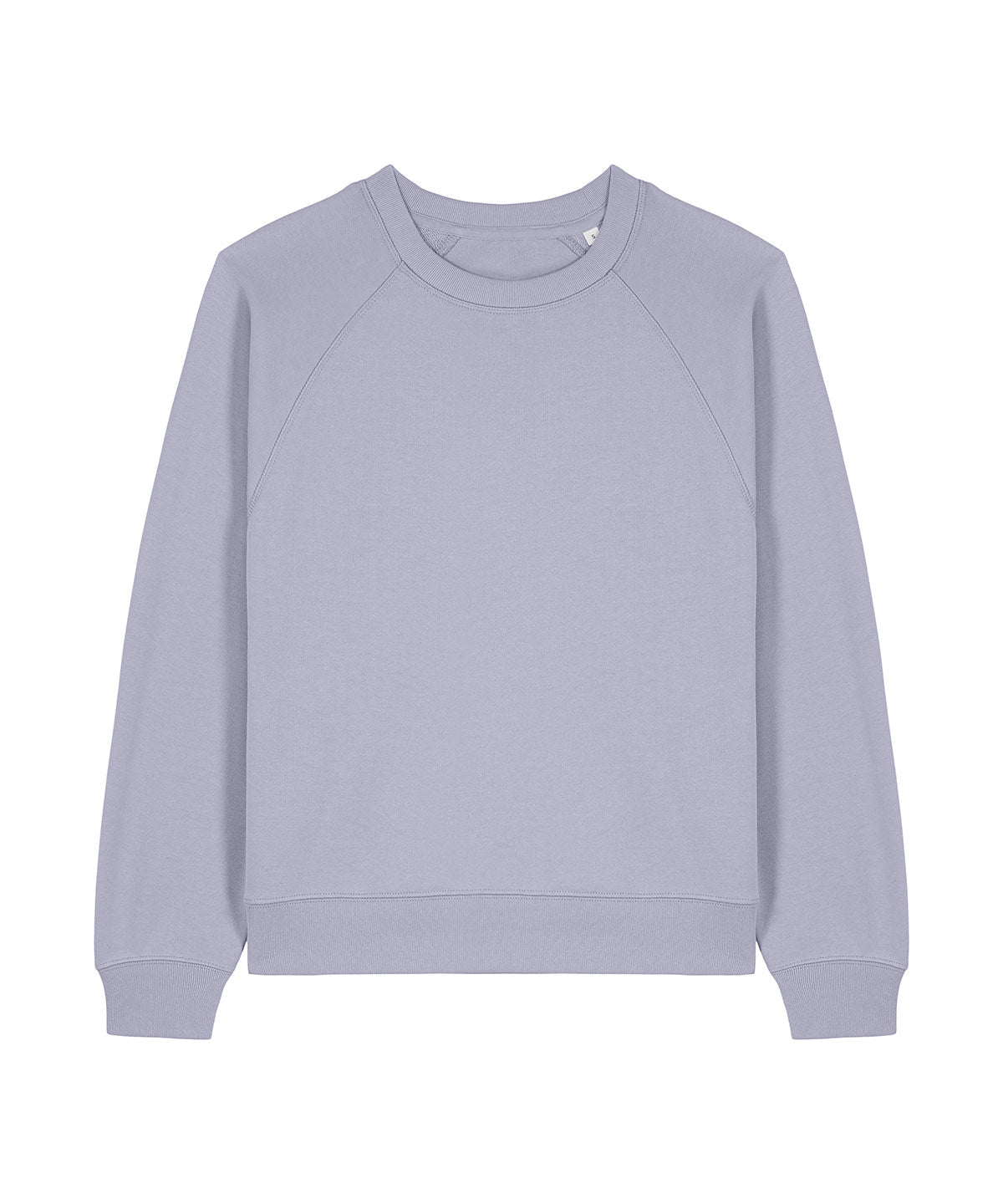 Organic Cotton Raglan Sweatshirt: Womens - REGN