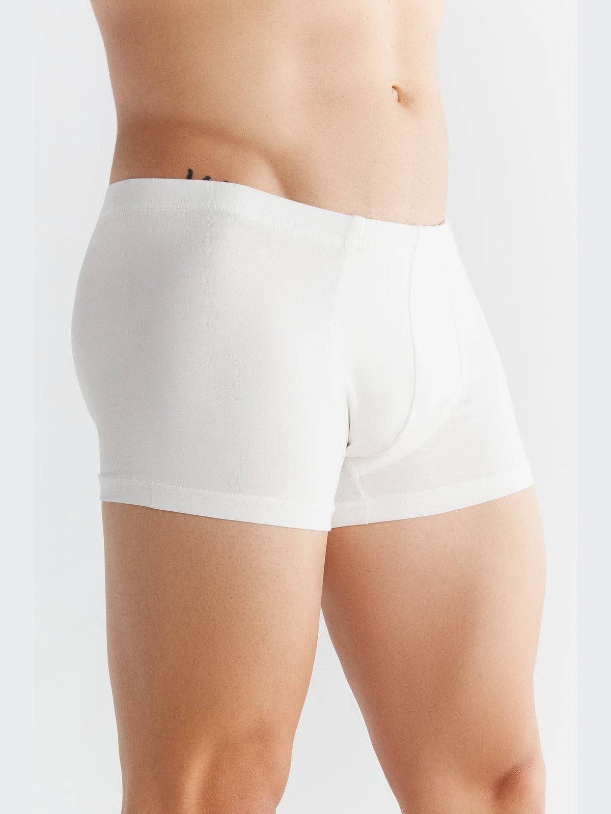 Organic Cotton Retro Boxer Shorts: Mens - REGN