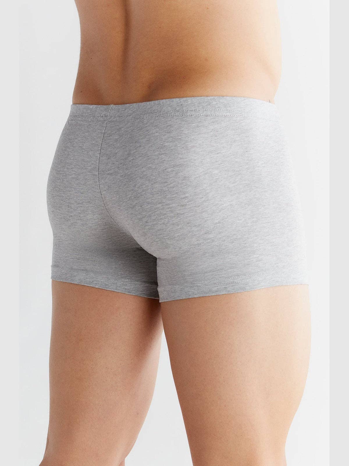 Organic Cotton Retro Boxer Shorts: Mens - REGN