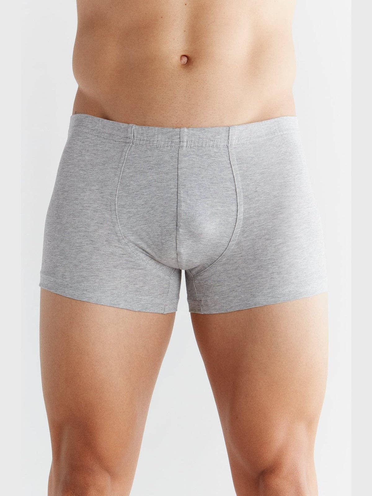 Organic Cotton Retro Boxer Shorts: Mens - REGN