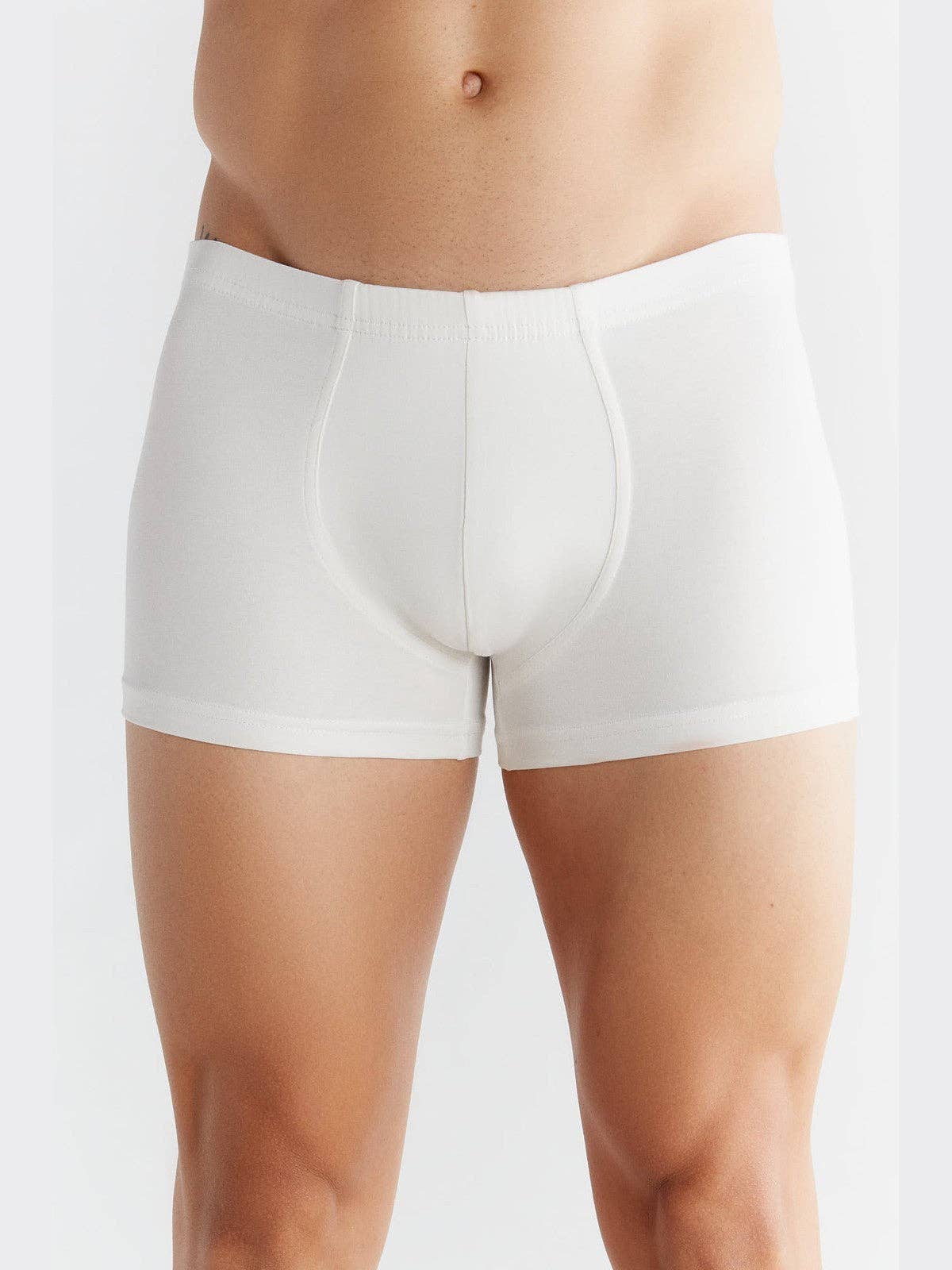 Organic Cotton Retro Boxer Shorts: Mens - REGN