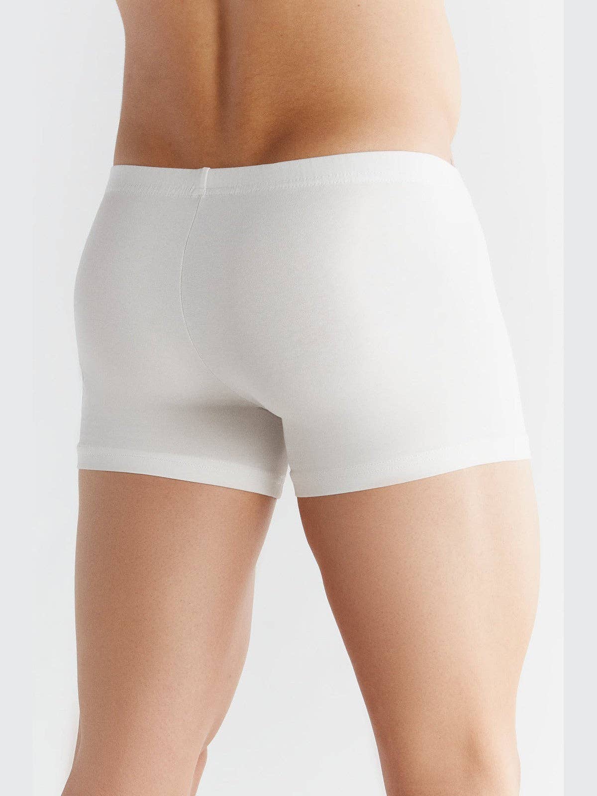 Organic Cotton Retro Boxer Shorts: Mens - REGN