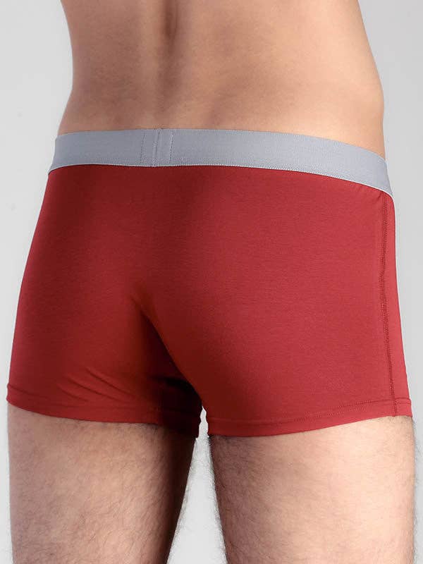 Organic Cotton Trunks: Mens - REGN