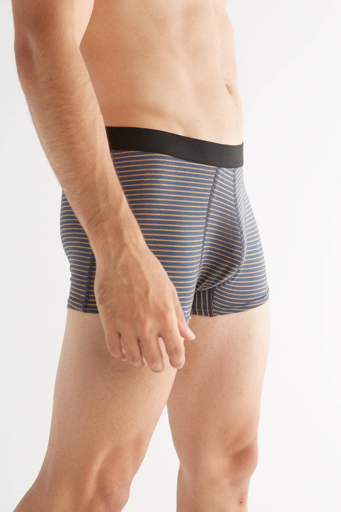 Organic Cotton Trunks: Mens - REGN