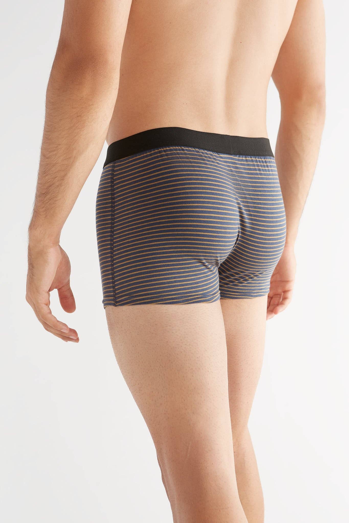 Organic Cotton Trunks: Mens - REGN