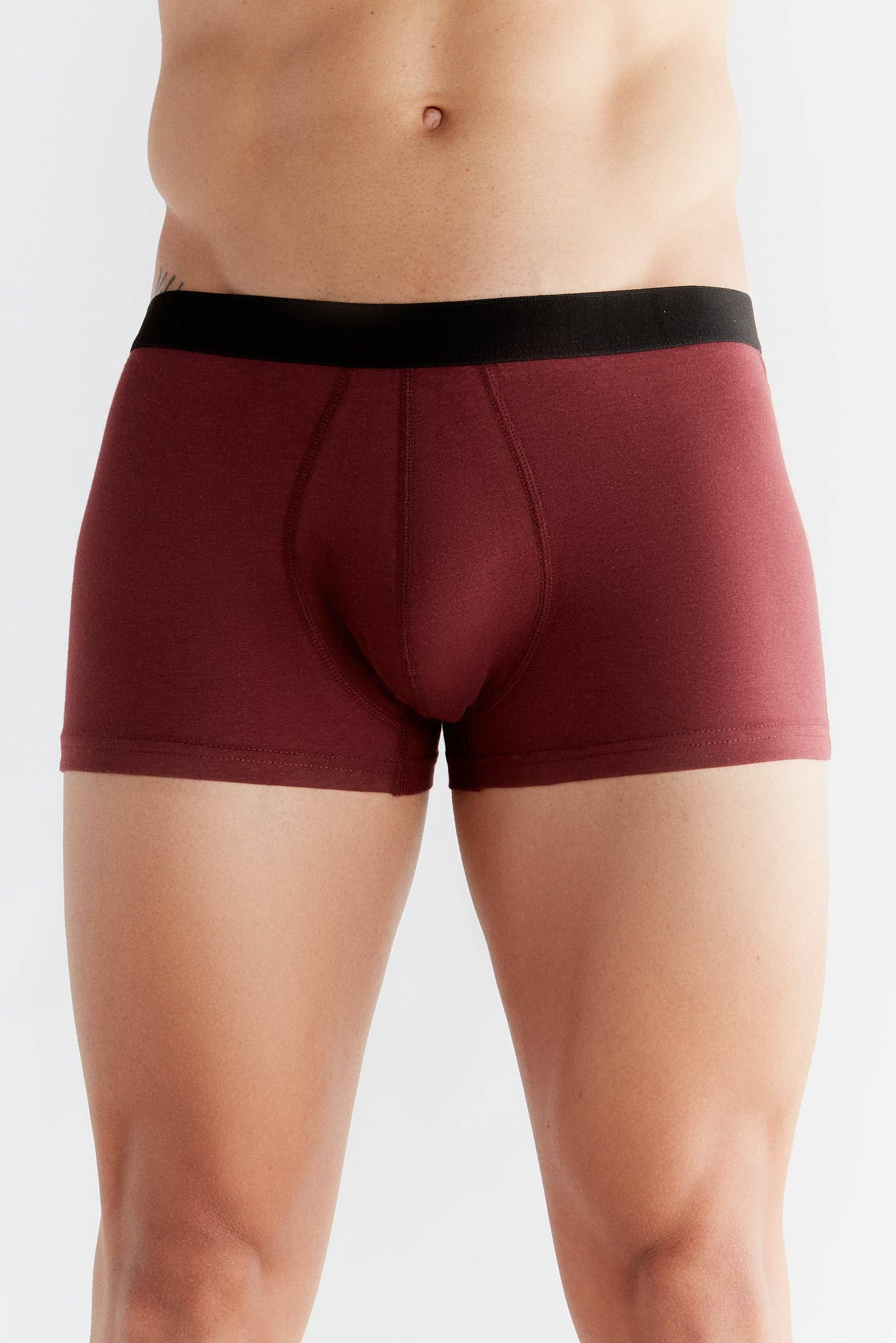 Organic Cotton Trunks: Mens - REGN