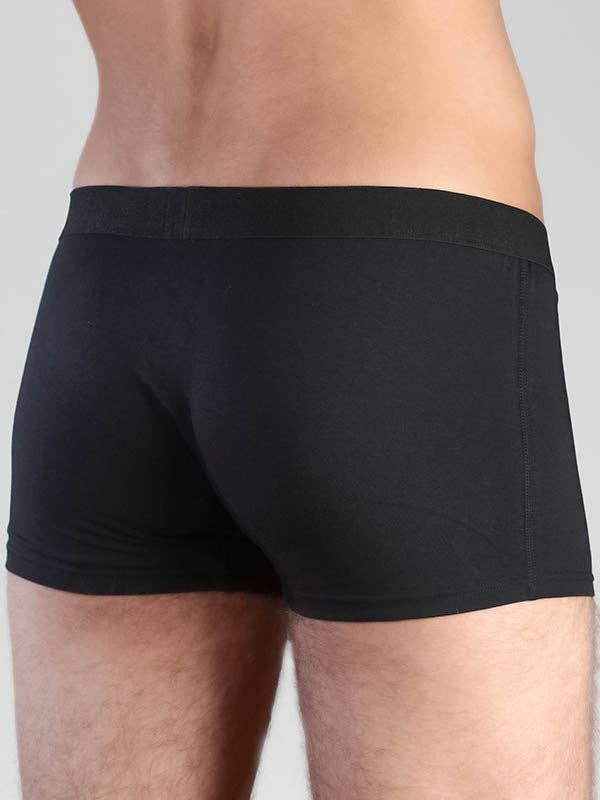 Organic Cotton Trunks: Mens - REGN