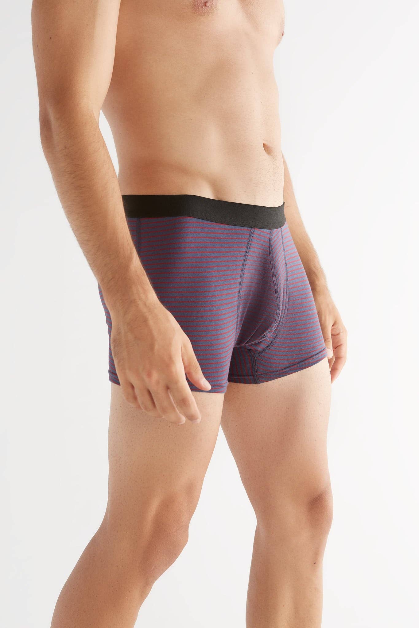 Organic Cotton Trunks: Mens - REGN