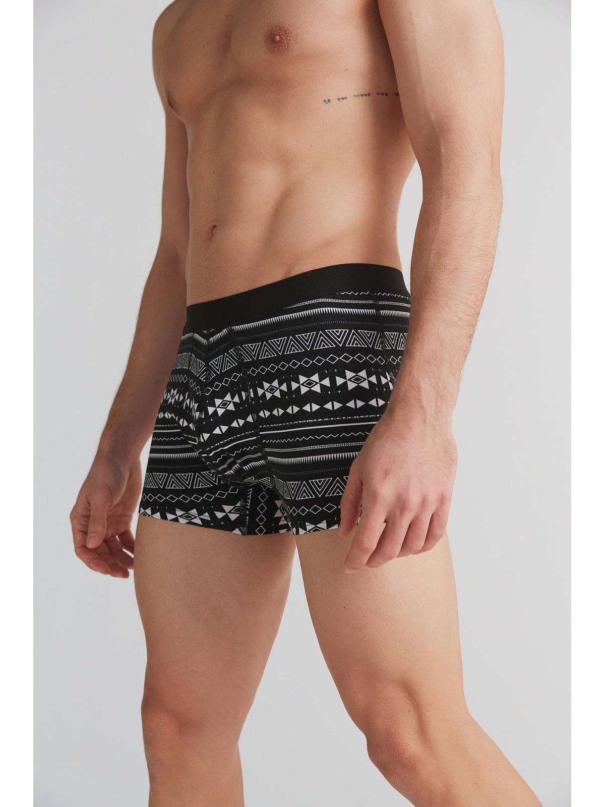 Organic Cotton Trunks: Mens - REGN