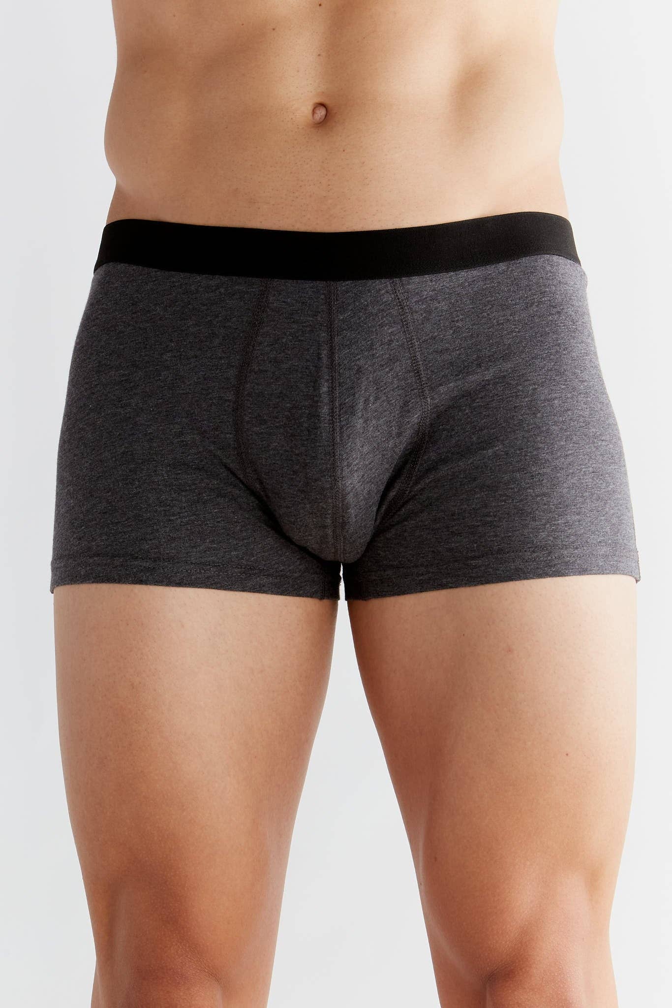 Organic Cotton Trunks: Mens - REGN