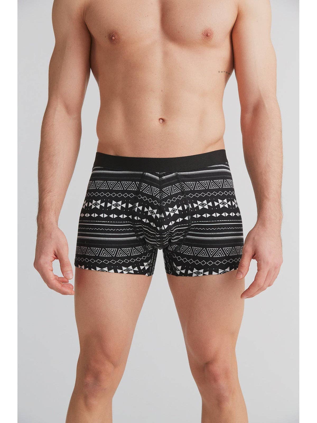 Organic Cotton Trunks: Mens - REGN