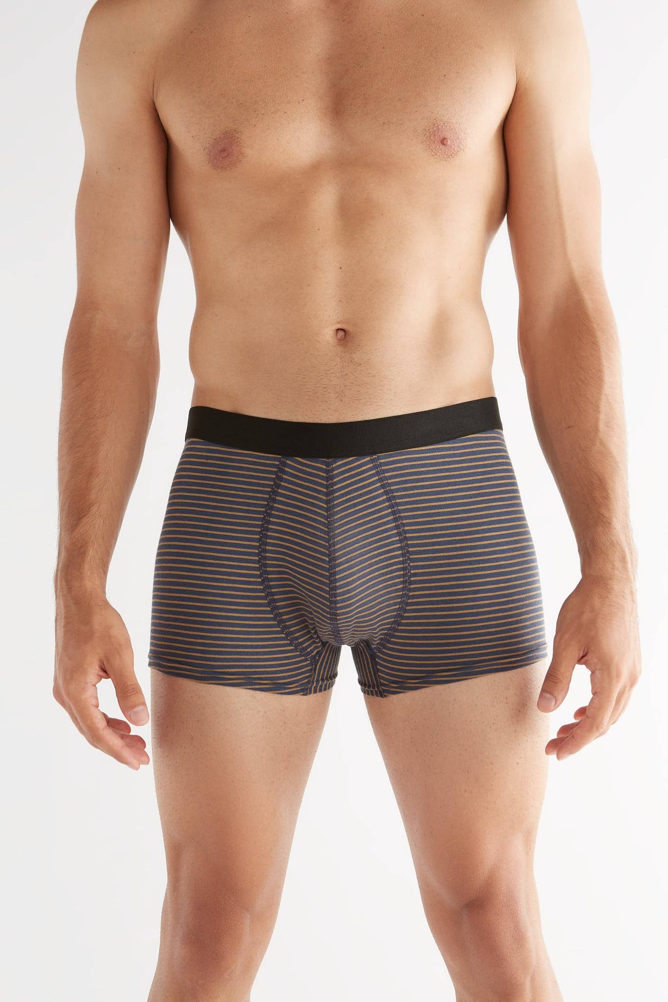 Organic Cotton Trunks: Mens - REGN
