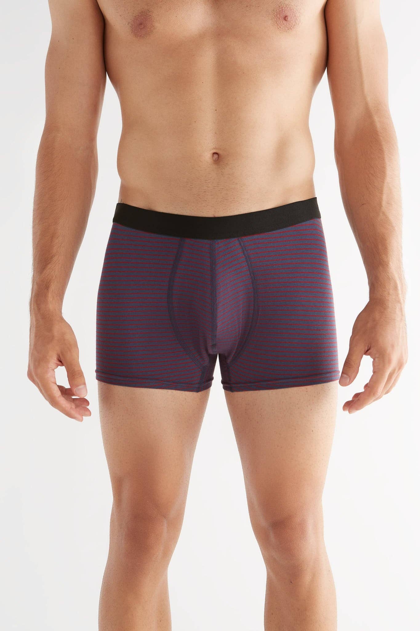Organic Cotton Trunks: Mens - REGN