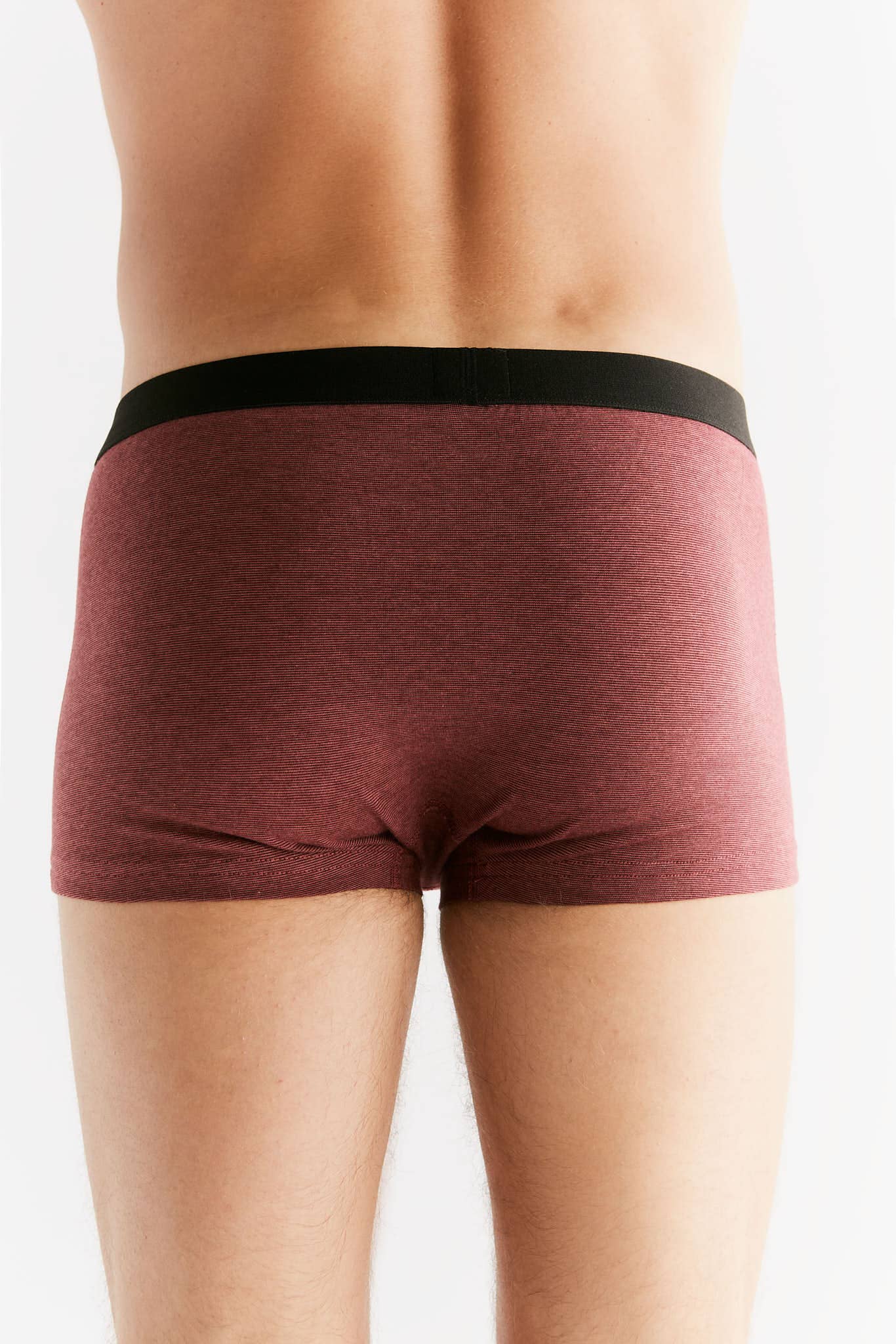 Organic Cotton Trunks: Mens - REGN