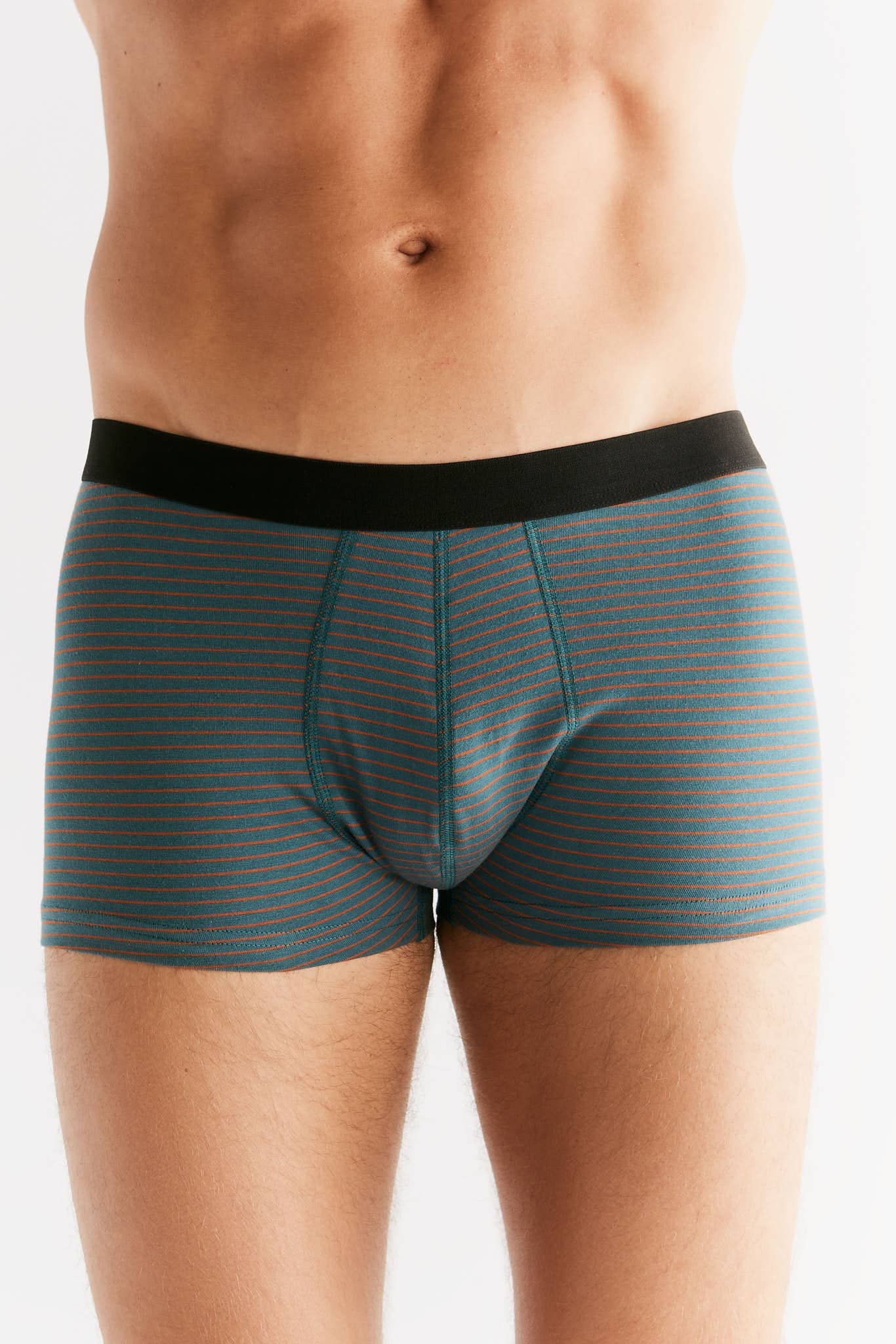 Organic Cotton Trunks: Mens - REGN