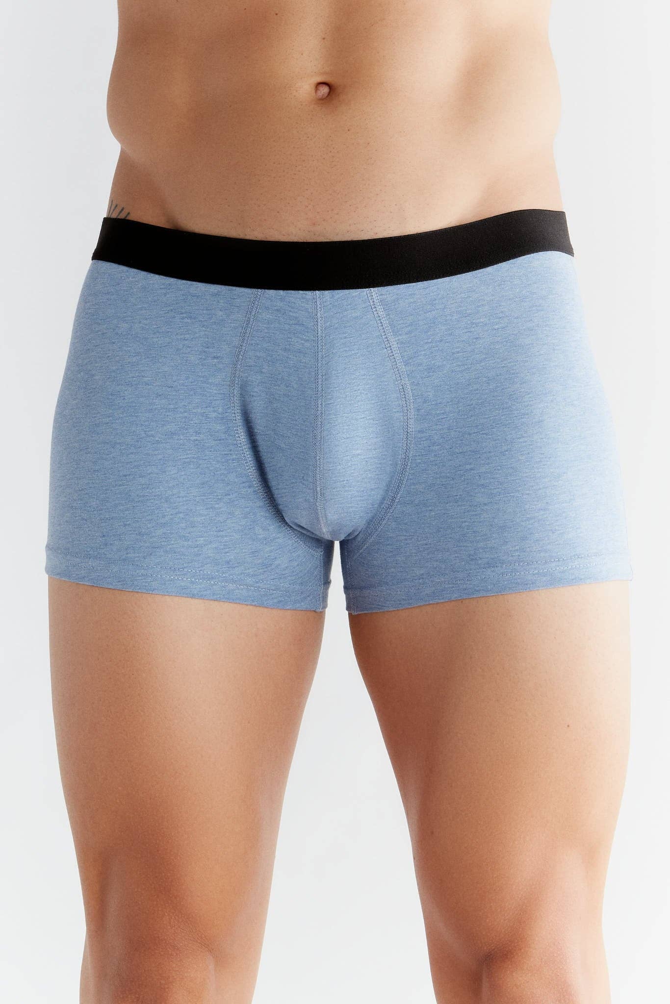 Organic Cotton Trunks: Mens - REGN
