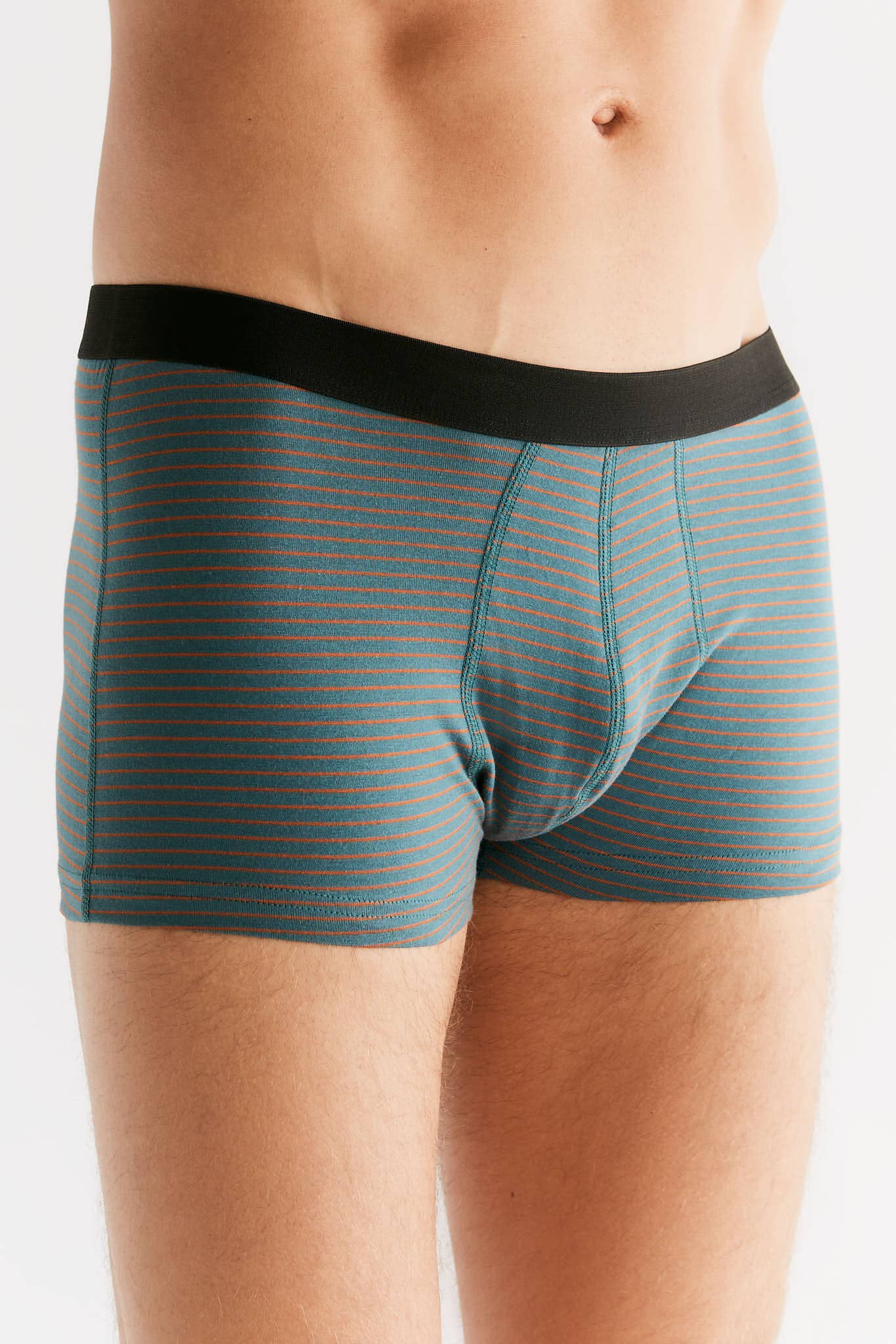 Organic Cotton Trunks: Mens - REGN