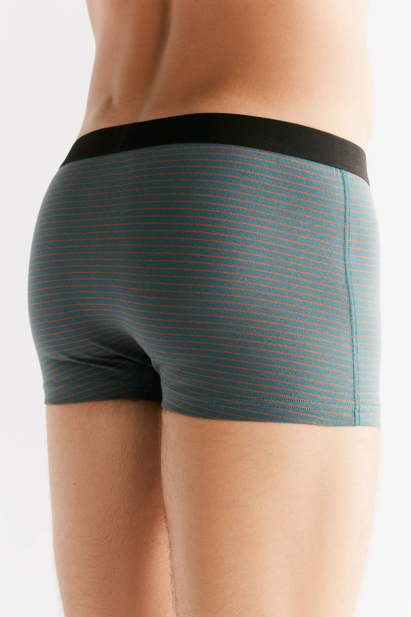 Organic Cotton Trunks: Mens - REGN