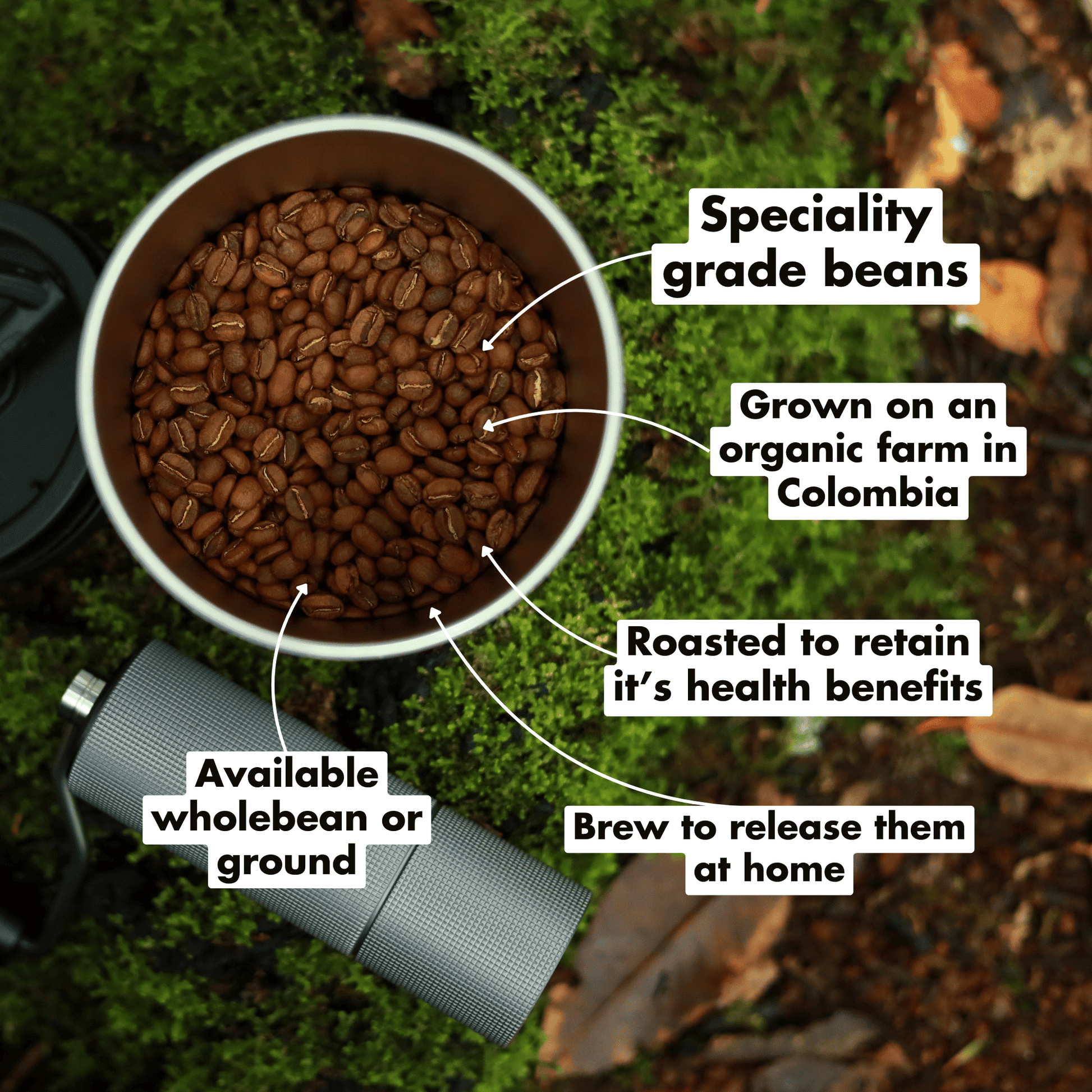 Organic Dark(ish) Roast Coffee - REGN