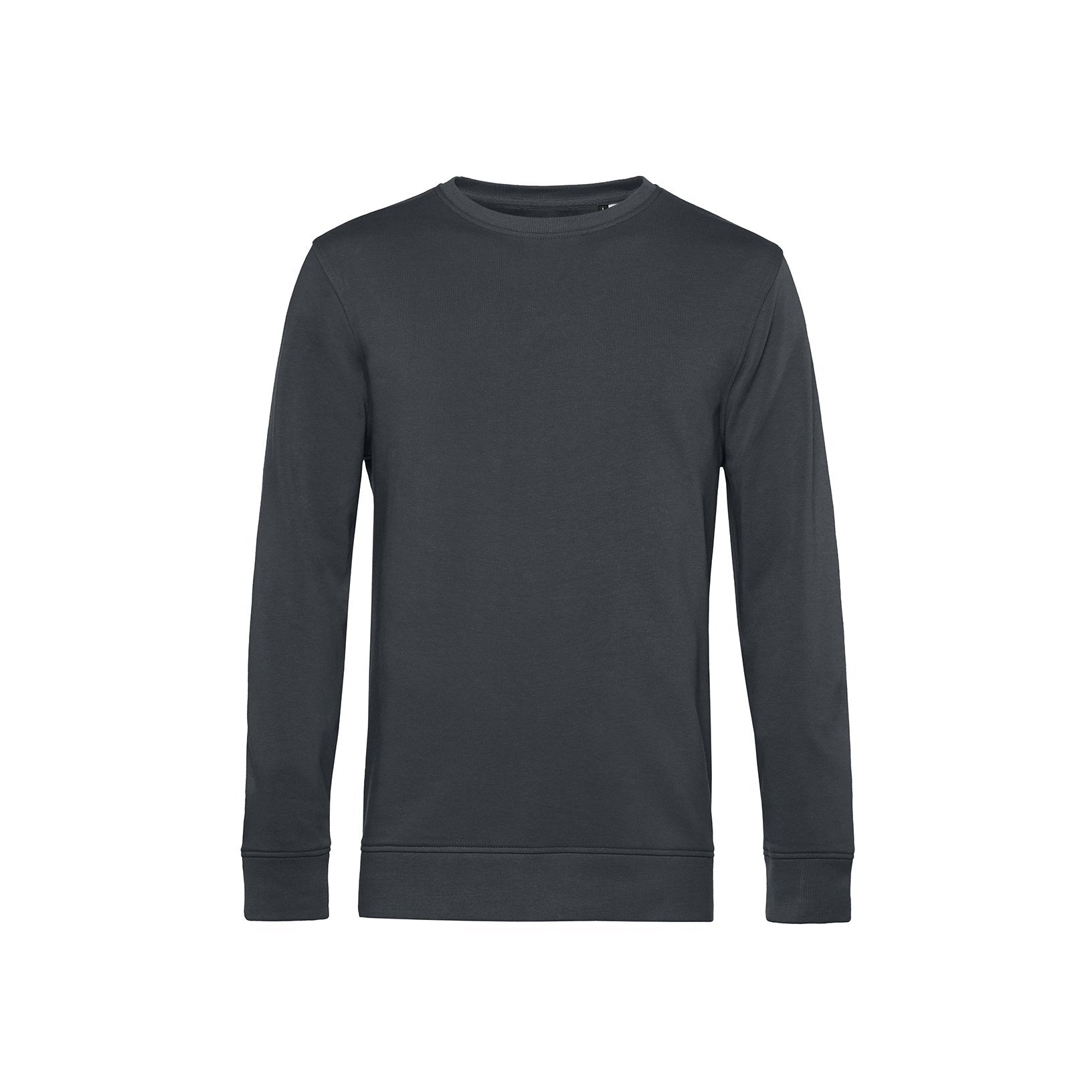 Organic Essential Sweatshirt: Mens - REGN