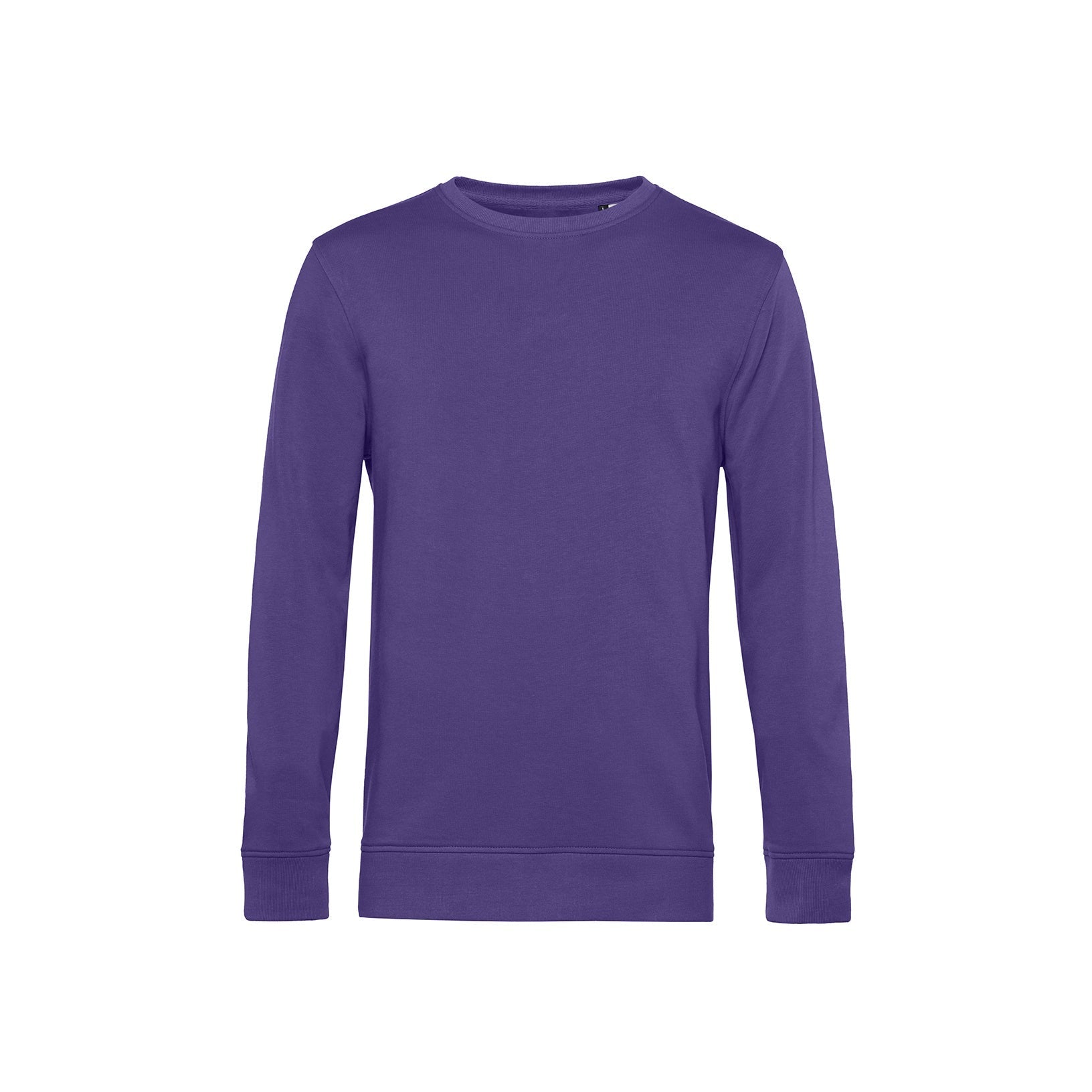 Organic Essential Sweatshirt: Mens - REGN