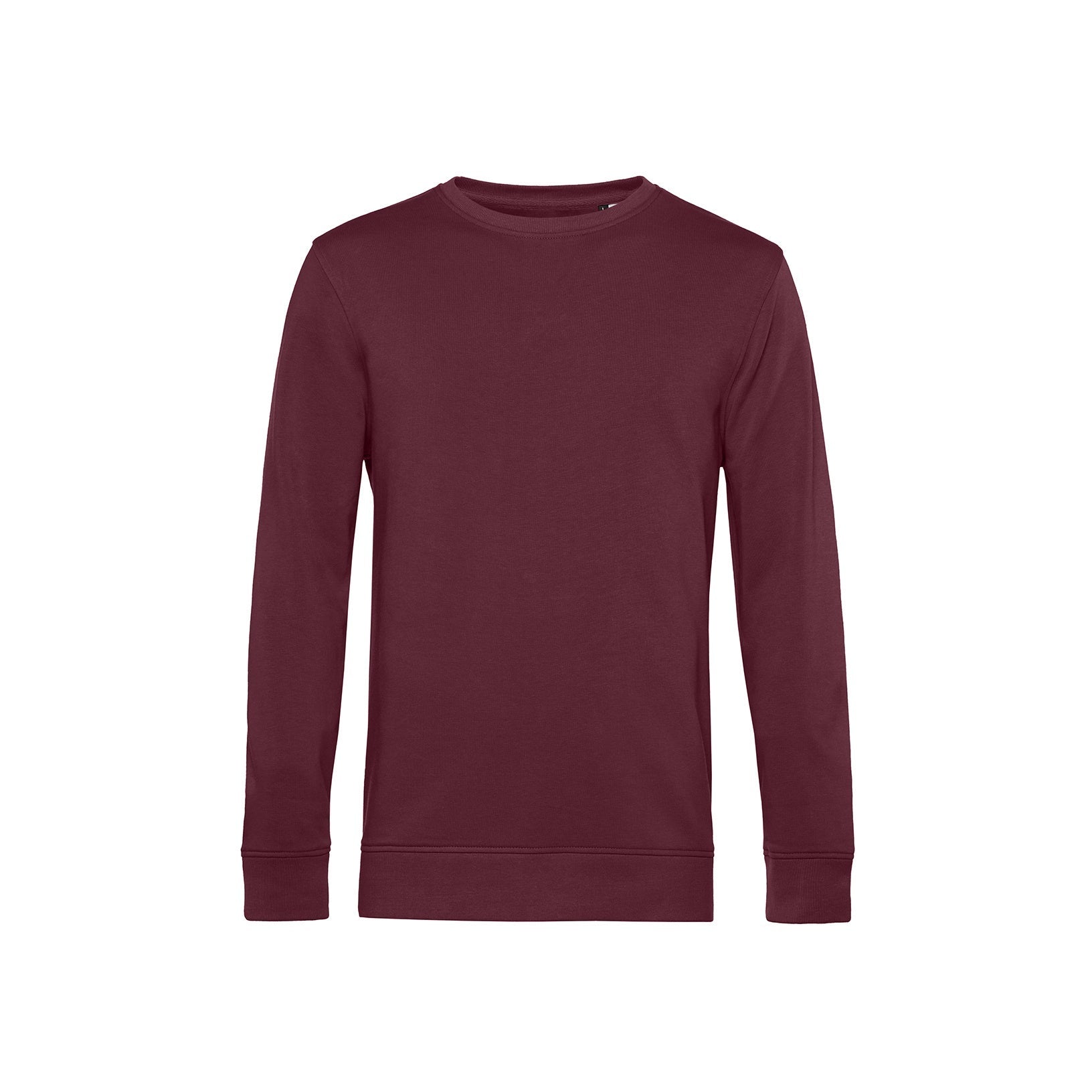 Organic Essential Sweatshirt: Mens - REGN